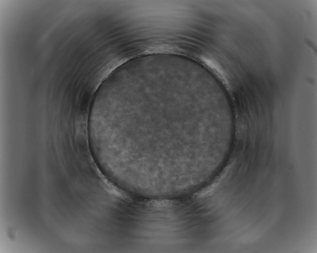 X0000091351041200708241242