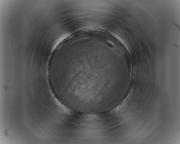 X0000091351042200708241242