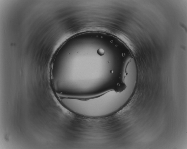 X0000091351046200708241242