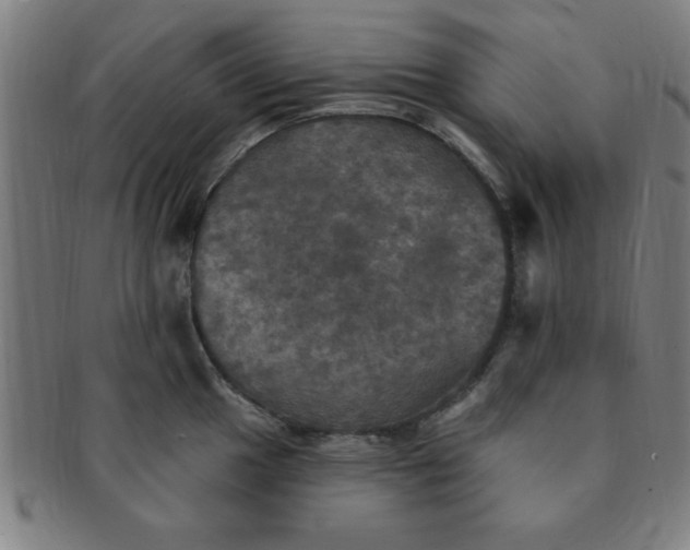 X0000091351049200708241242