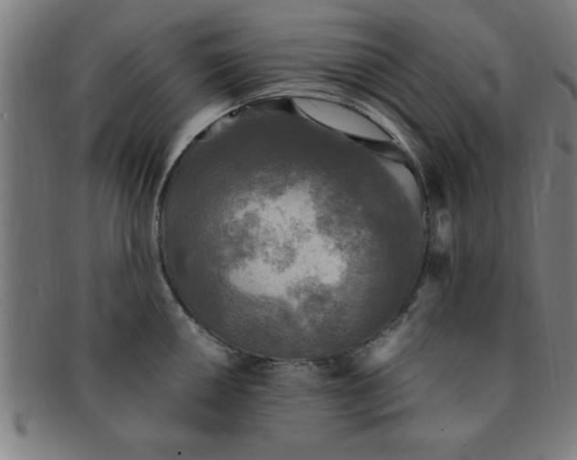 X0000091351050200708241242