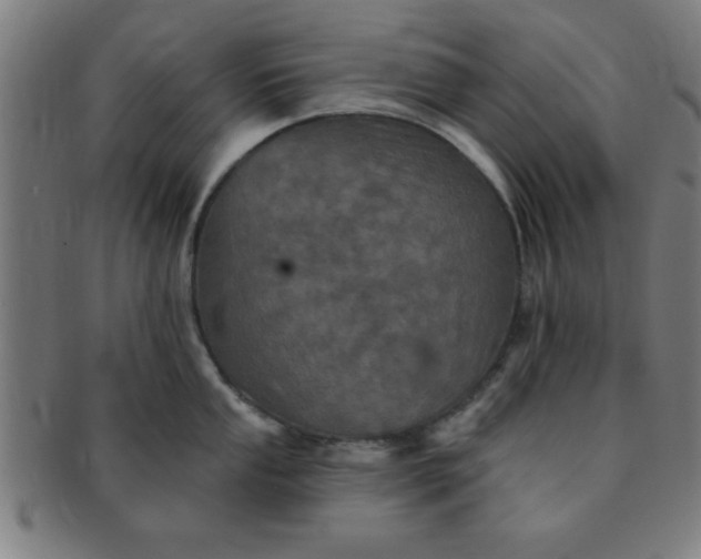 X0000091351053200708241242