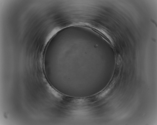 X0000091351054200708241242