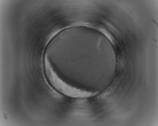 X0000091351055200708241242