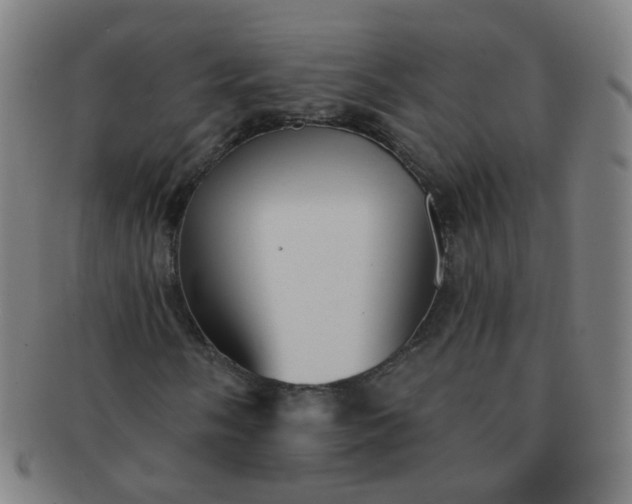 X0000091351058200708241241