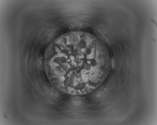 X0000091351059200708241241