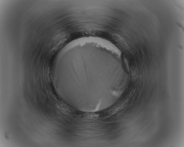X0000091351060200708241241