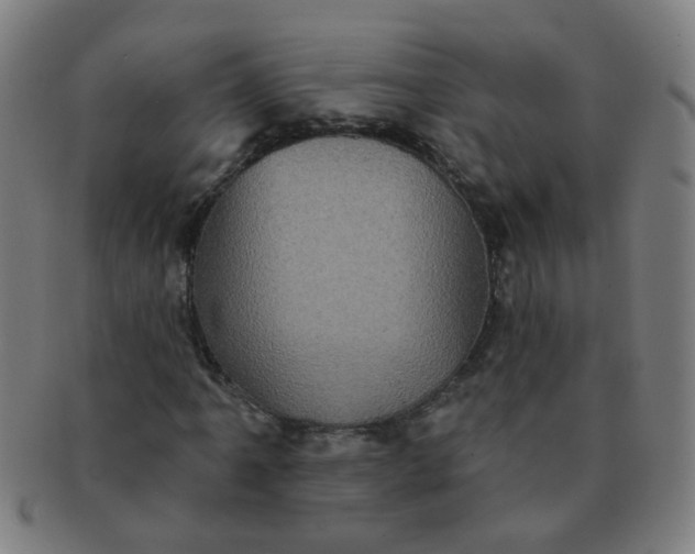 X0000091351061200708241241