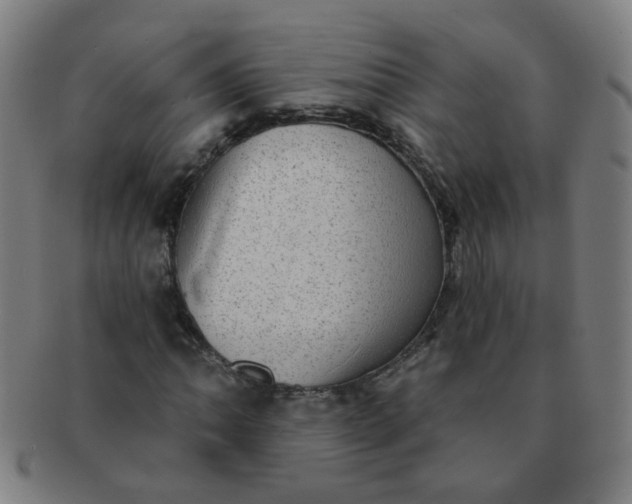X0000091351062200708241241