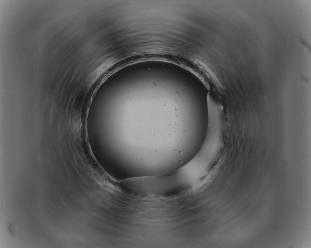 X0000091351065200708241241