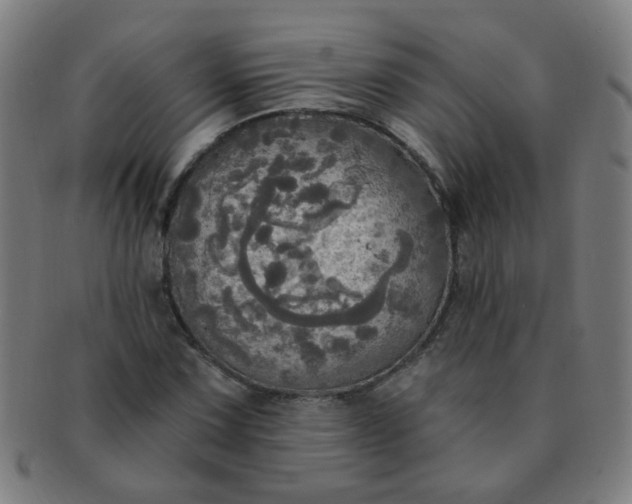 X0000091351067200708241241
