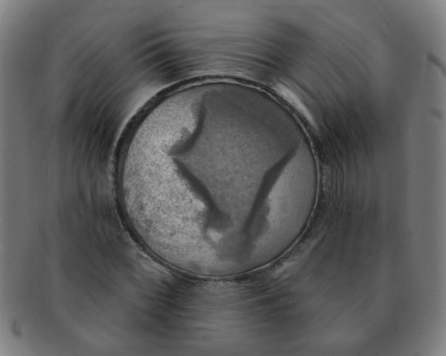 X0000091351068200708241241