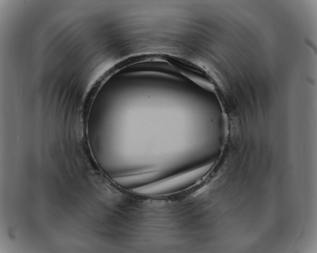 X0000091351069200708241241