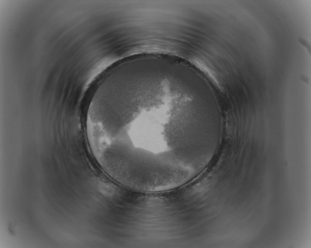 X0000091351070200708241241