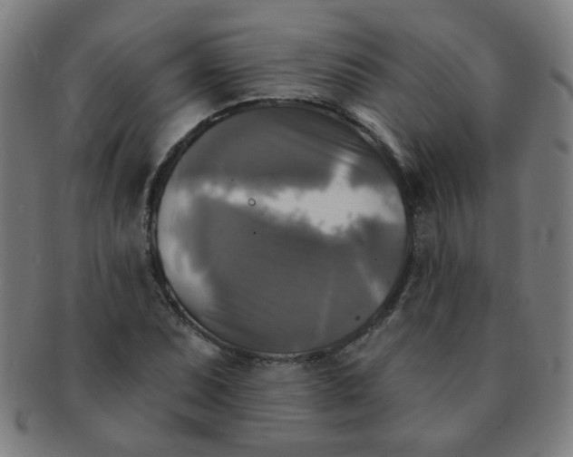 X0000091351071200708241241