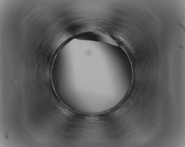 X0000091351073200708241241
