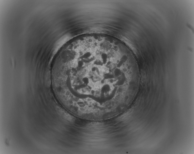X0000091351075200708241241
