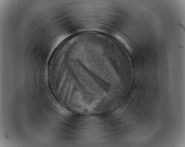 X0000091351076200708241241