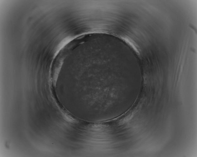 X0000091351077200708241241