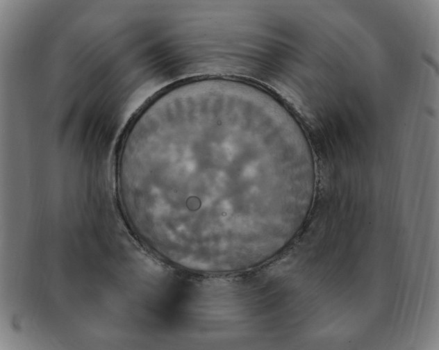 X0000091351078200708241241