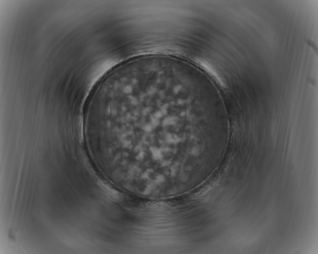 X0000091351079200708241241