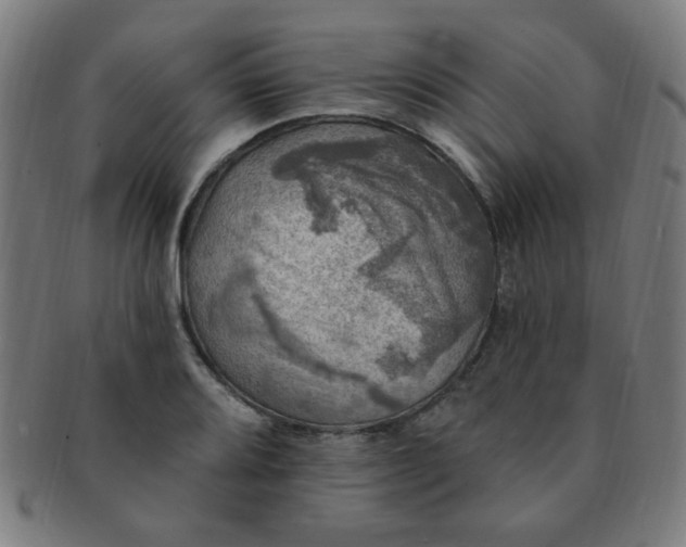 X0000091351080200708241241