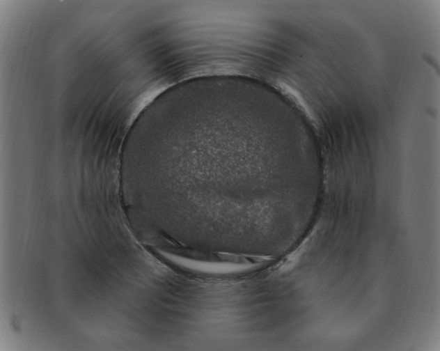 X0000091351081200708241241