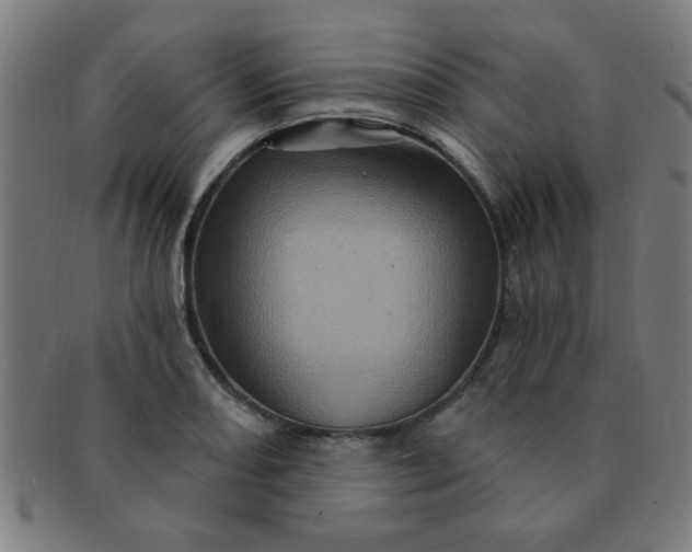 X0000091351082200708241241