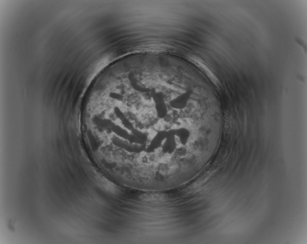 X0000091351083200708241241