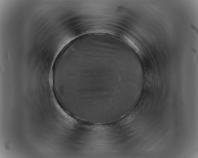 X0000091351084200708241241
