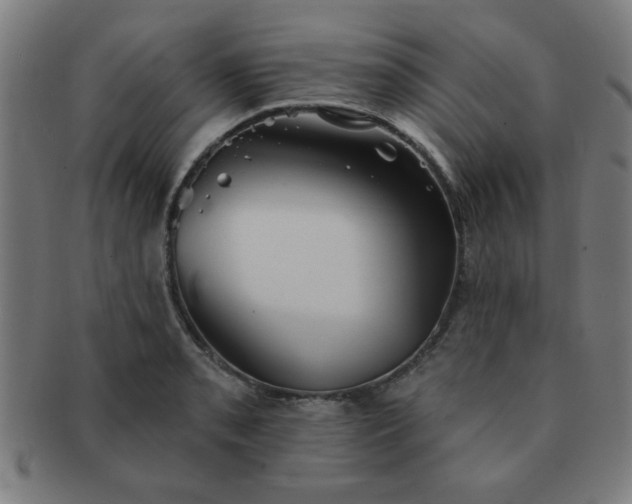 X0000091351085200708241241