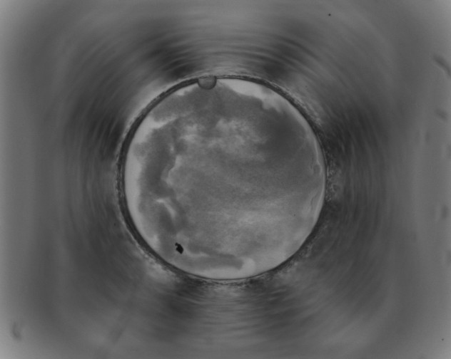 X0000091351086200708241241