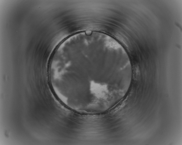 X0000091351087200708241241
