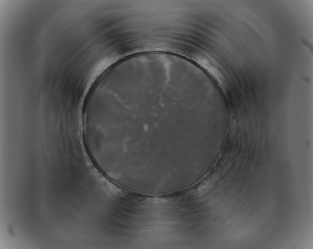 X0000091351088200708241241