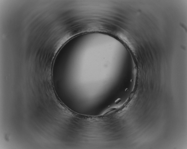 X0000091351089200708241241
