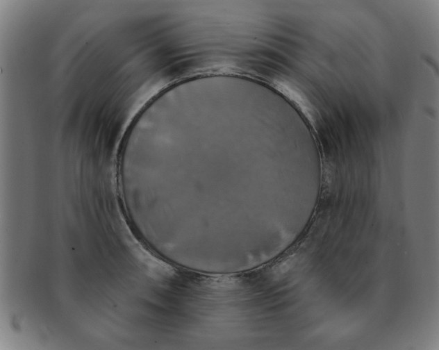 X0000091351090200708241241