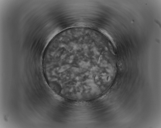 X0000091351091200708241241