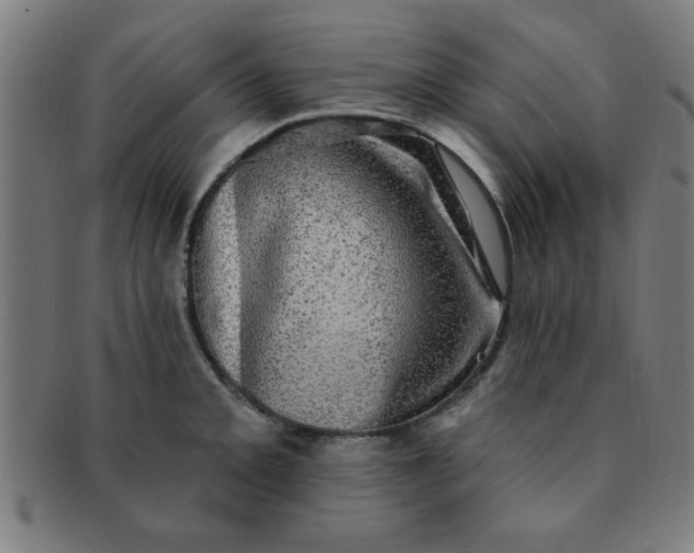 X0000091351093200708241241