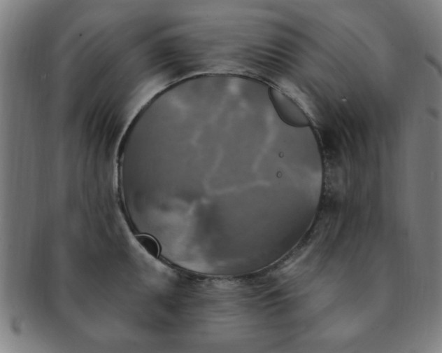 X0000091351095200708241241