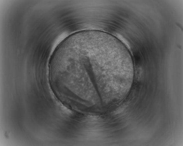 X0000091351096200708241241