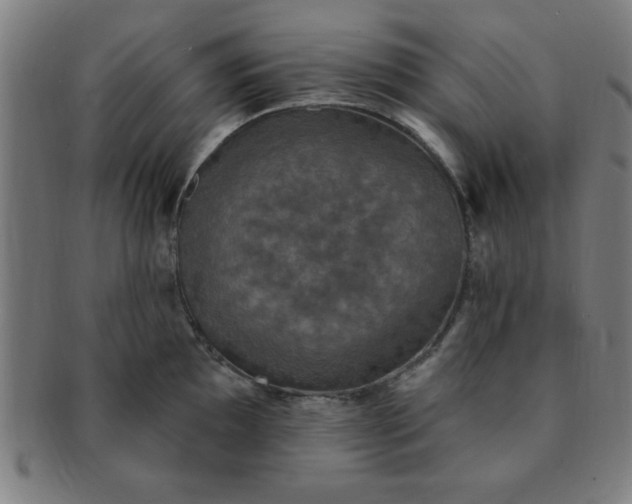 X0000091351097200708241241