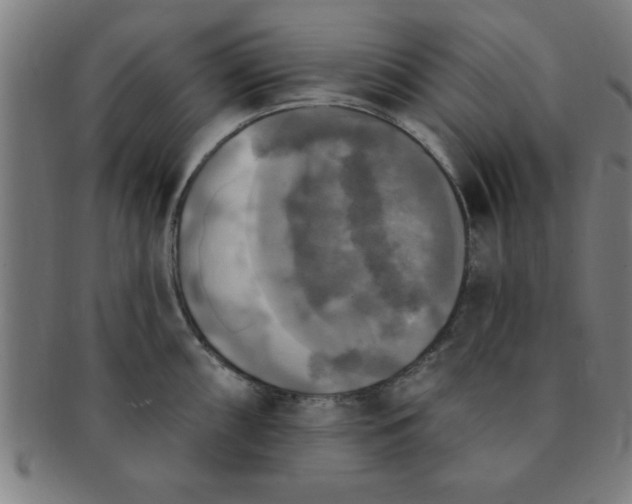 X0000091351098200708241241