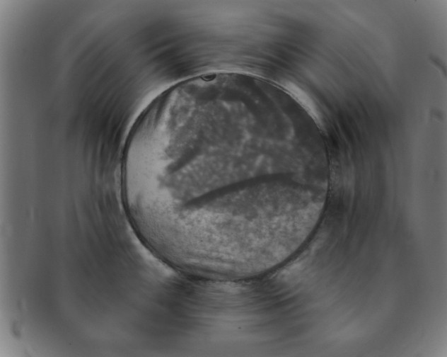 X0000091351100200708241241