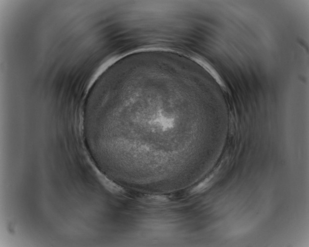 X0000091351101200708241241