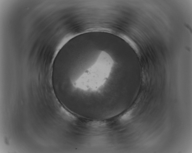 X0000091351102200708241241