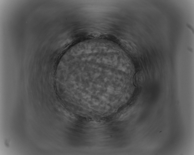 X0000091351105200708241240