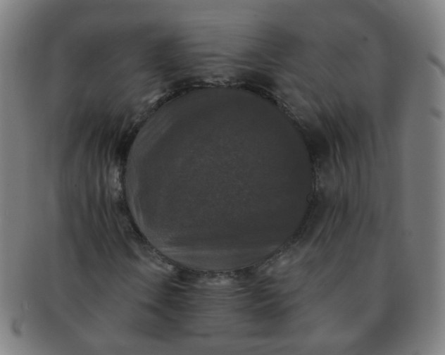 X0000091351106200708241240