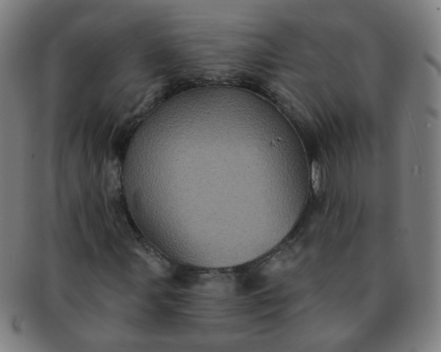 X0000091351107200708241240