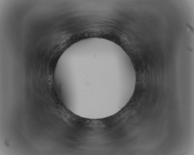 X0000091351109200708241240