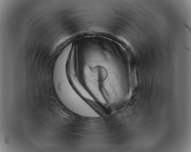 X0000091351112200708241240